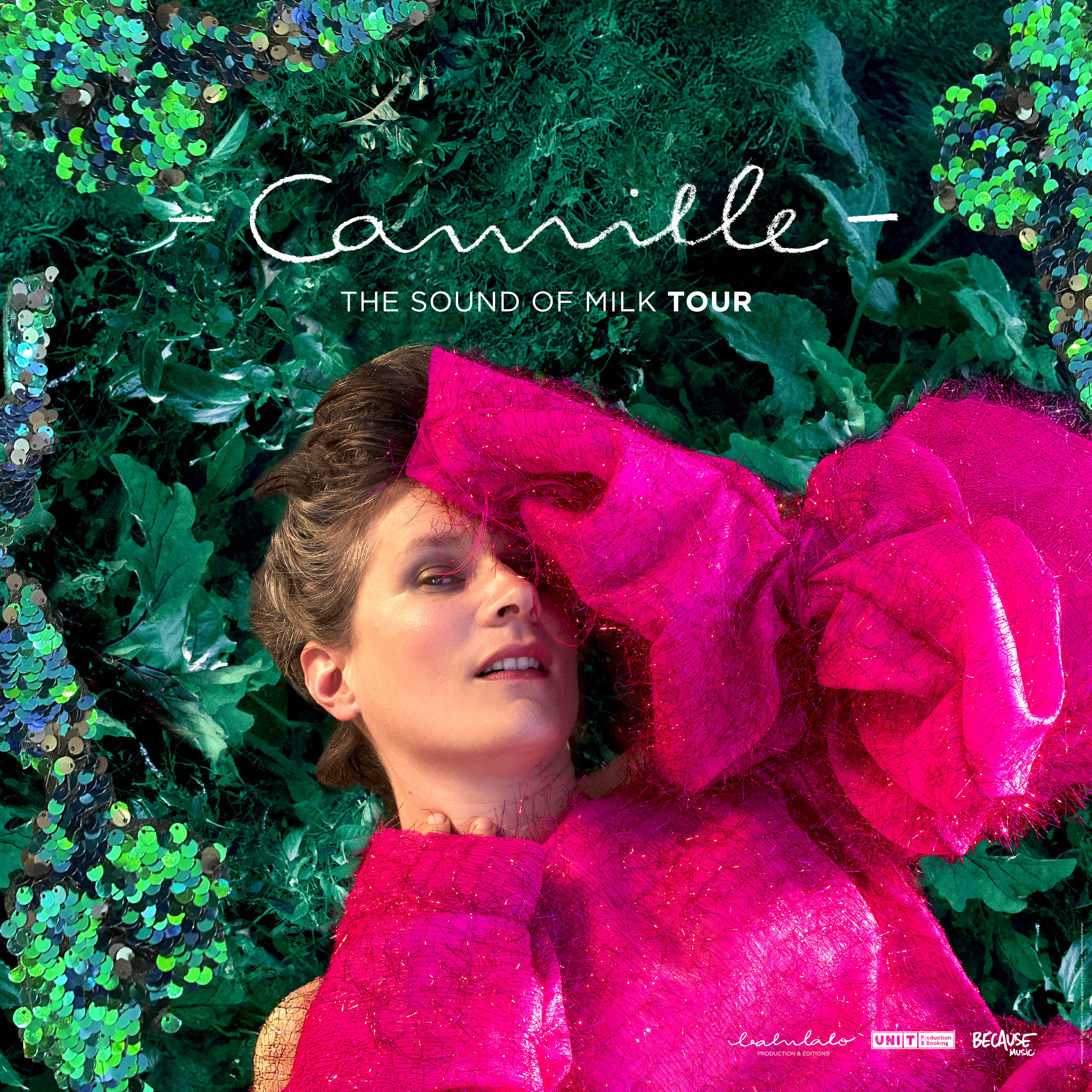 Camille en concert à La Presqu'Île / SMAC 07 le Jeu 1 avr